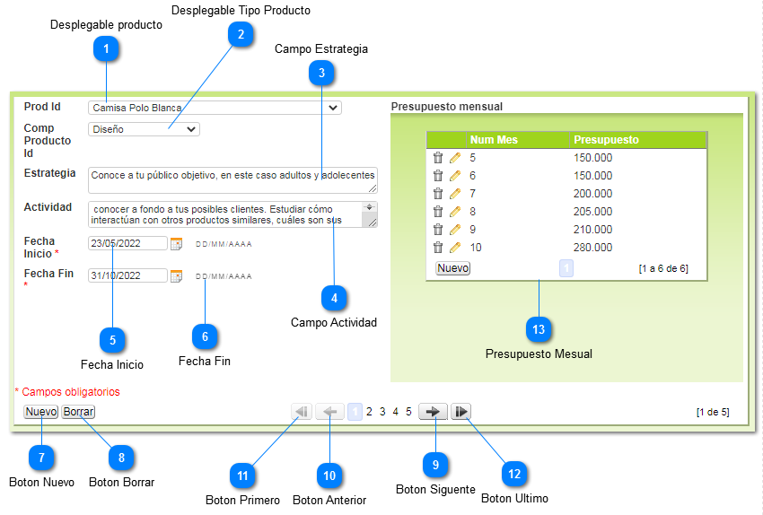 2.4.2.6. Estrategia de Producto