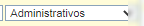 3. Desplegable Tipo Riesgo