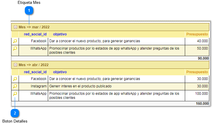2.5.1.3.2. Redes Sociales